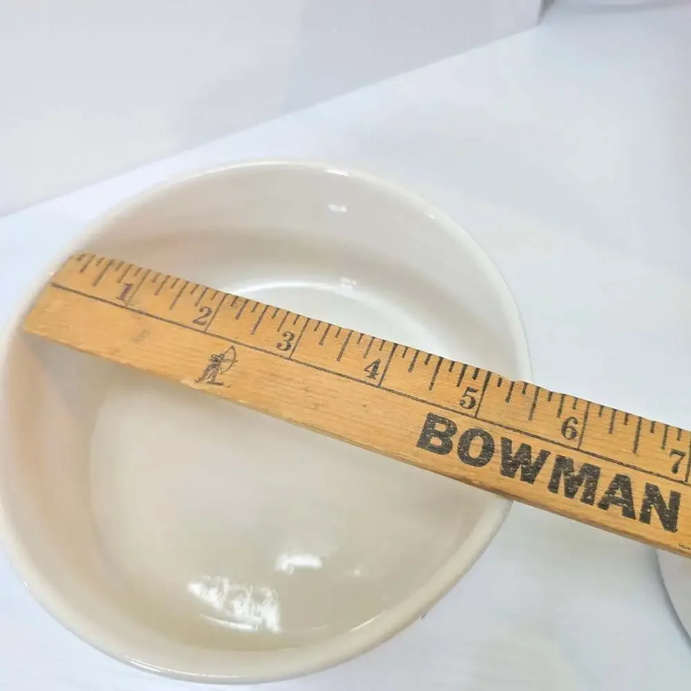 Rae Dunn GULP Ceramic Pet Food Water Bowl